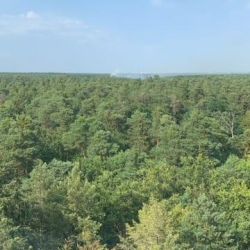 Brandeinsatz